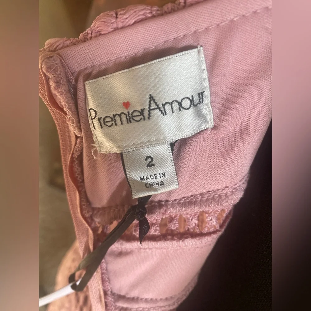 Premier Amour Blush Midi dress-Size 2 - Picture 4 of 6